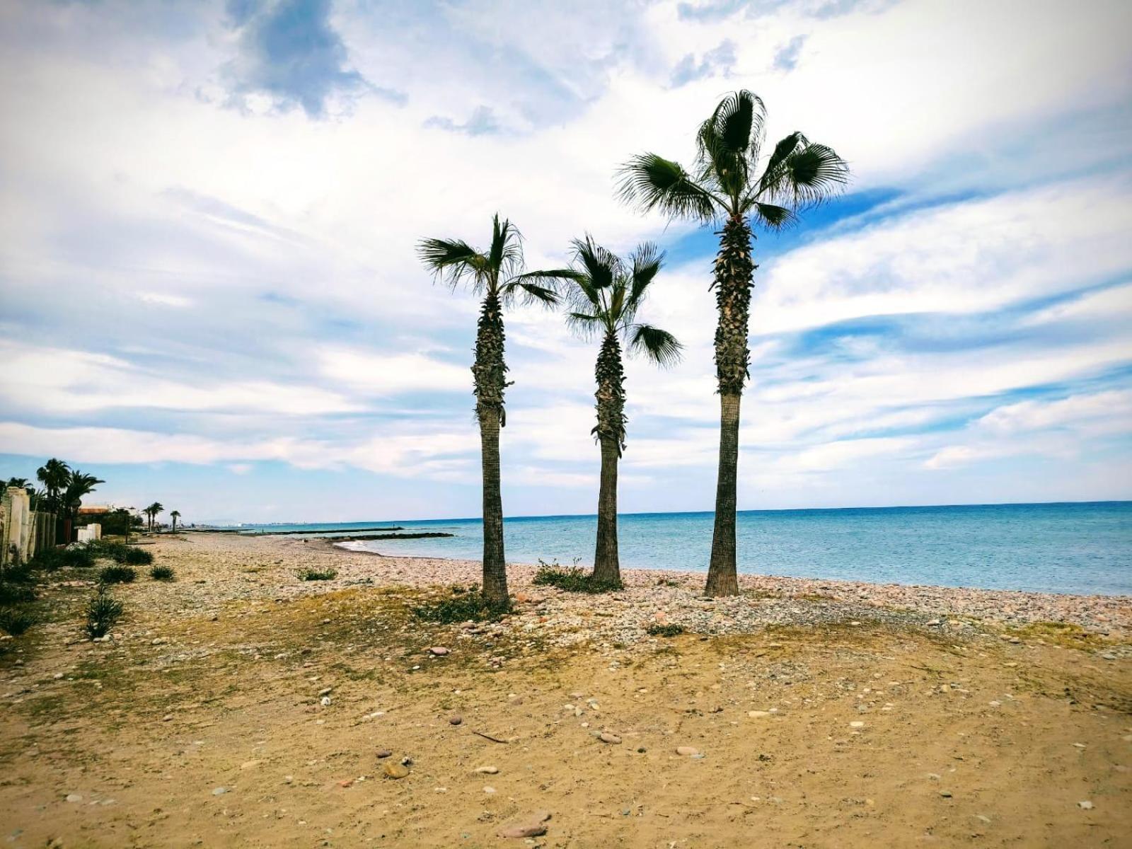 Apartamento Cerca De La Playa Moncófar エクステリア 写真